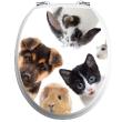 WC wall decals -Wc flap decal our animal friends - ambiance-sticker.com