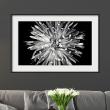Wall decal picture frame Flower ball - ambiance-sticker.com