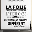 Wall decals with quotes - Wall decal La folie d'Albert Einstein - ambiance-sticker.com