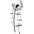 Flowers wall decals - Wall decal dandelion - ambiance-sticker.com