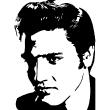 Wall decals music - Wall decal Elvis Presley Portrait - ambiance-sticker.com