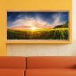 Wall decals poster - Wall decal poster Sunset in a field - ambiance-sticker.com