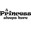 Wall decals with quotes - Wall decal Princess sleeps - ambiance-sticker.com