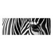 Bedroom wall decals - Wall decal design Zebra - ambiance-sticker.com