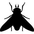 Animals wall decals - Figure insect Wall decal - ambiance-sticker.com