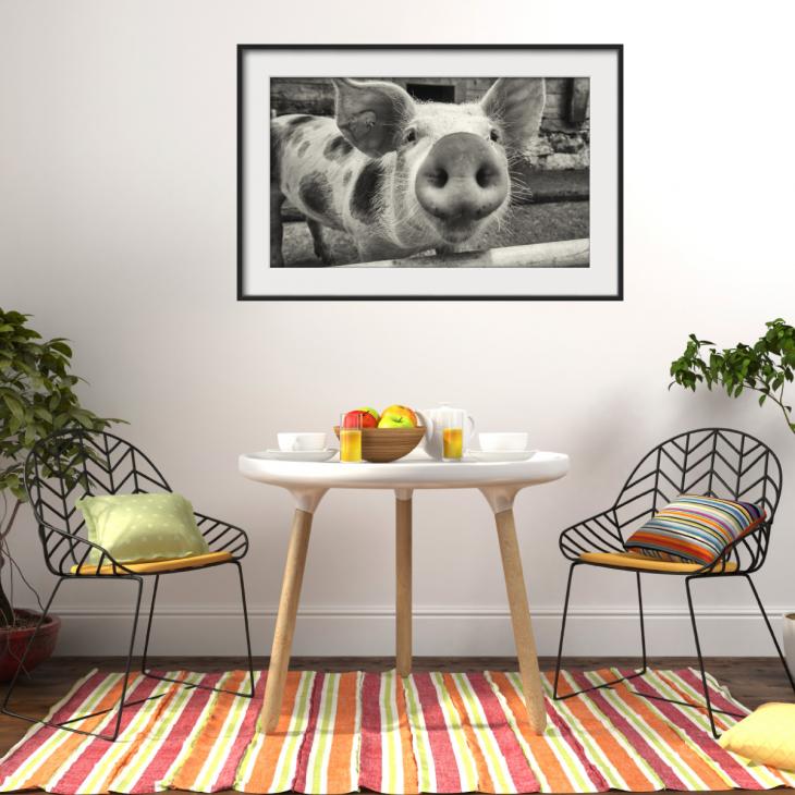 Wall sticker picture frame The piglet - ambiance-sticker.com