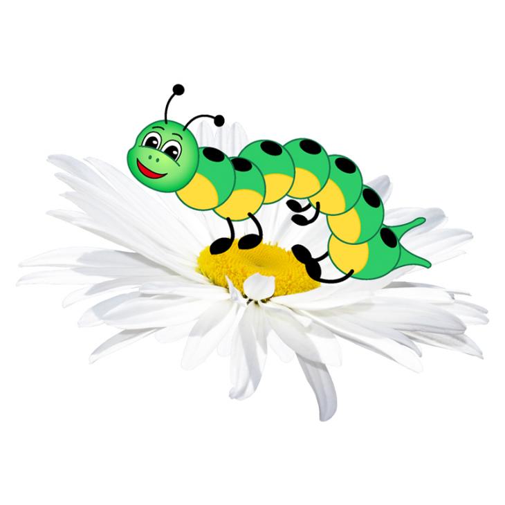 Caterpillar on flower - ambiance-sticker.com