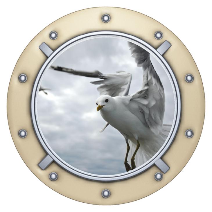 Wall decals Seagull in porthole - ambiance-sticker.com