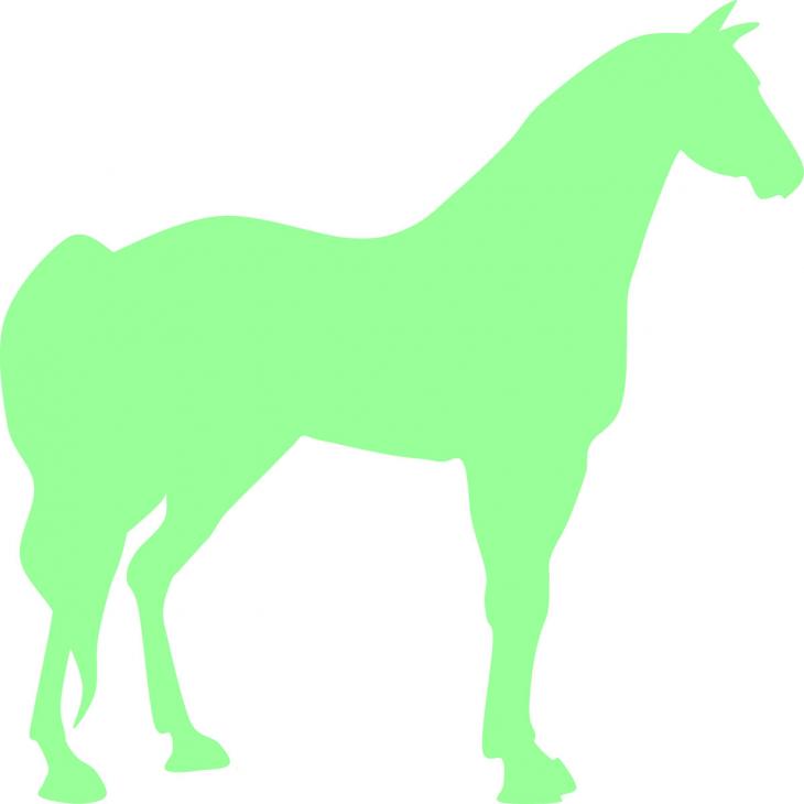 Glow in the dark  wall decals - Wall decal horse 2 - ambiance-sticker.com