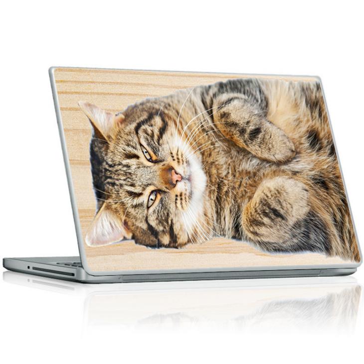 Laptop skin lying cat - ambiance-sticker.com