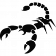 Un Scorpion - ambiance-sticker.com