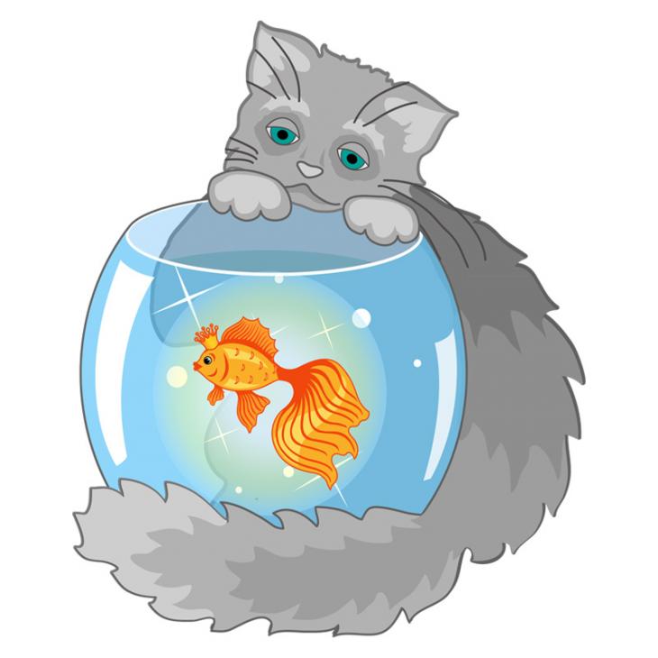 Sticker Chat et poissons rouges - ambiance-sticker.com