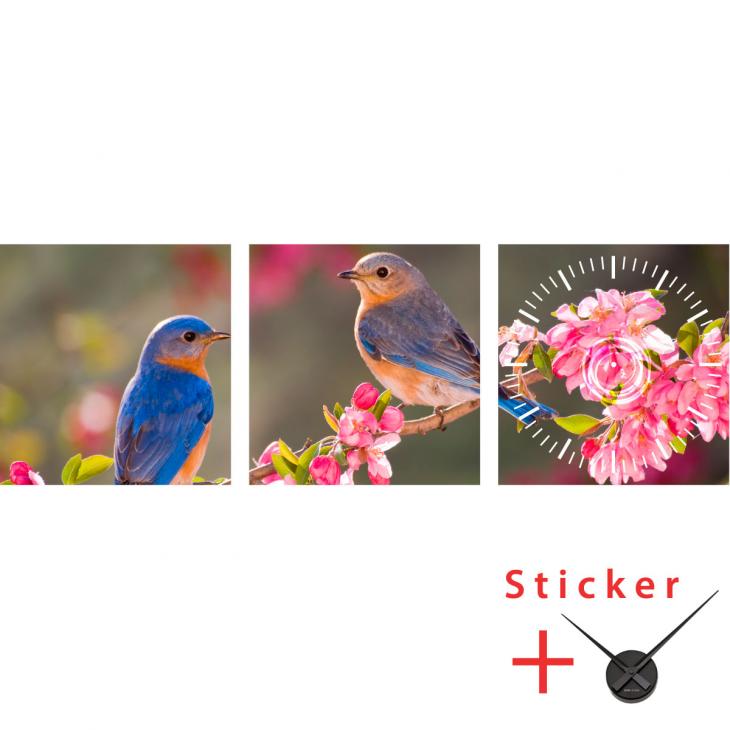 Stickers muraux - Sticker horloge les hirondelles au printemps - ambiance-sticker.com