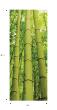 Mursticker deur 204 x 83 cm - Bamboe - ambiance-sticker.com