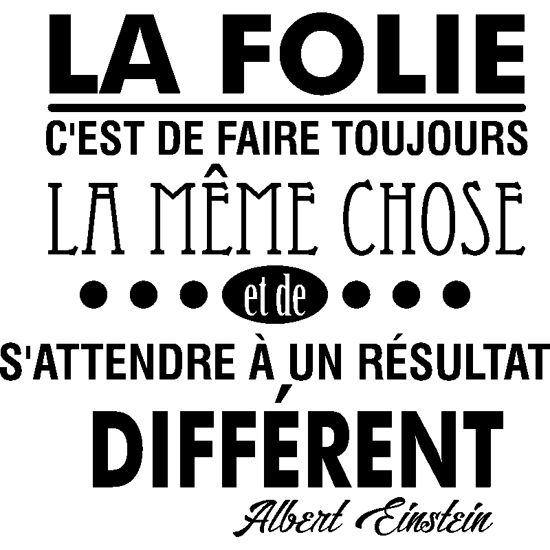 Wall Decal La Folie D Albert Einstein Wall Decals Quote Wall Stickers French Ambiance Sticker