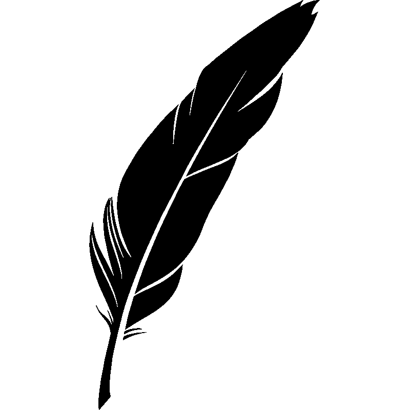 Vinilo plumas - decoración plumas de la pared - Ambiance sticker