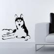 gelegenes Husky Hund - ambiance-sticker.com