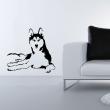 gelegenes Husky Hund - ambiance-sticker.com