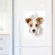 Wandtattoos für den Kühlschrank - Wandtattoo deko Hund im Loch - ambiance-sticker.com