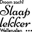 Wandtattoo Droom zacht slaap lekker welterusten - ambiance-sticker.com