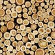 wandtatoos Holz - Wandtatoos Holz protokolle aus Kanada - ambiance-sticker.com