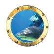 Haifisch - ambiance-sticker.com