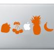 PC & MAC Laptop Folie - Sticker Obstsorten - ambiance-sticker.com