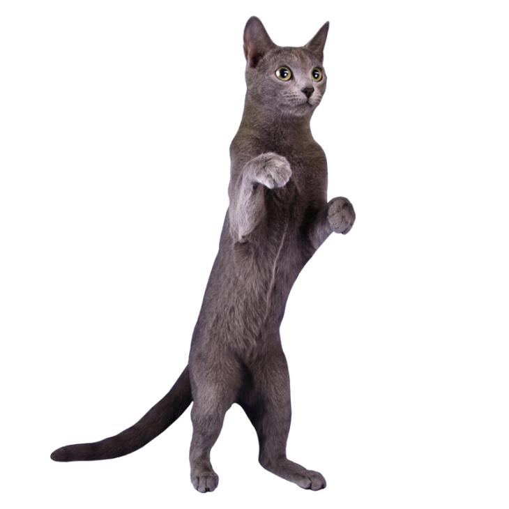 Wandtattoos tiere - Wandtattoo stehende graue Katze - ambiance-sticker.com