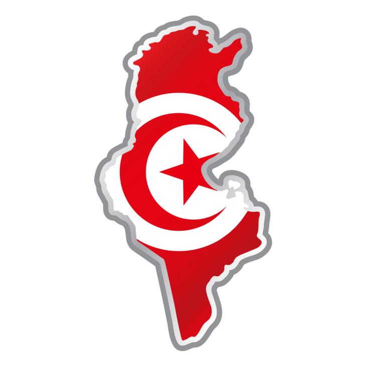 Stickers und Aufklebers Auto - Sticker Tunesische Flagge innerhalb Land Form - ambiance-sticker.com