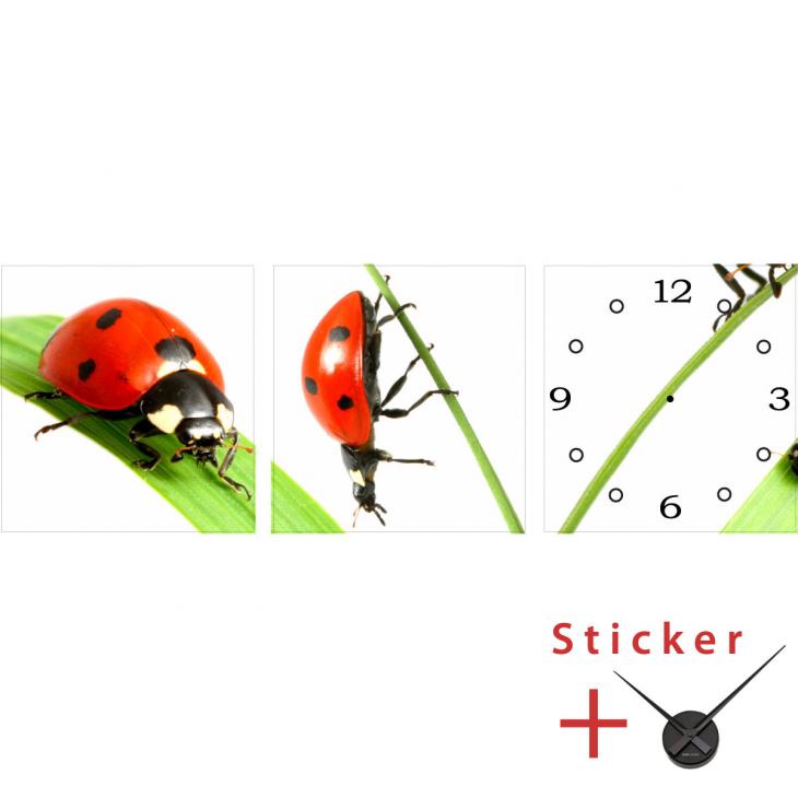 Uhren Wandtattoos - Wandtattoo Marienkäfer auf einer Pflanze - ambiance-sticker.com