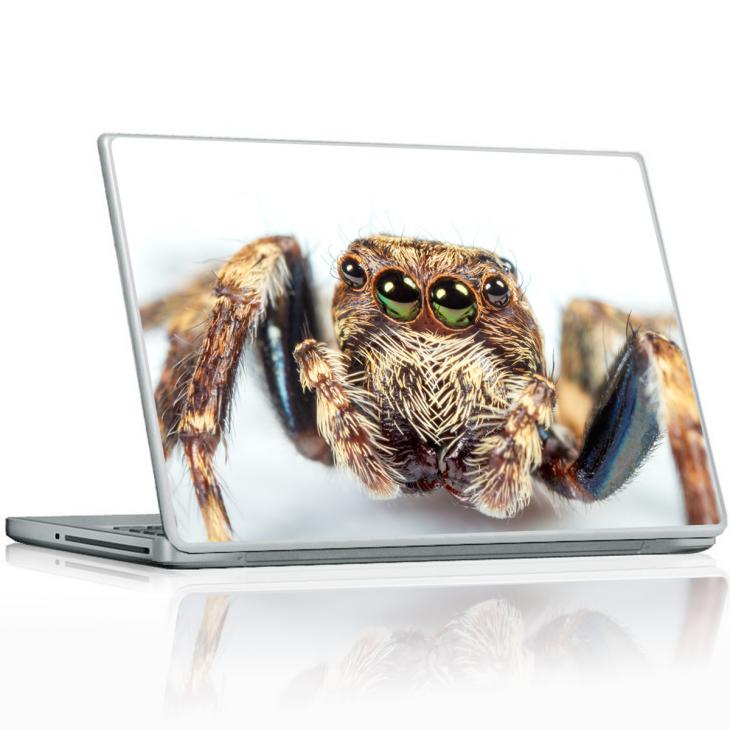 PC und MAC Laptop Folie - Sticker Spinnenaugen - ambiance-sticker.com