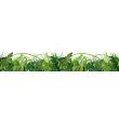 Blackout wall decals - Window sticker 2 meters x 40 cm the jungle - ambiance-sticker.com