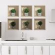Wall decals for doors - Wall 3D Herbs and mini trees - ambiance-sticker.com