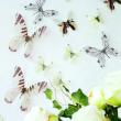 White 3D Butterflies - 18 Butterflies 3D stickers true to life - ambiance-sticker.com