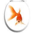 WC wall decals -Wc flap decal golden fish - ambiance-sticker.com