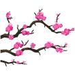 Wall decal branches cherry tree of Japan - ambiance-sticker.com