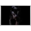 Wall decal picture frame Black Panther - ambiance-sticker.com