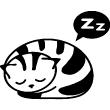 Wall decals Plugs & Swtich Buttons - Wall decal sleeping kitten 1 - ambiance-sticker.com
