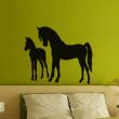Animals wall decals - Horse and foal Wall decal - ambiance-sticker.com