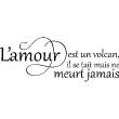 Love  wall decals - Wall decal L'amour est un volcan - ambiance-sticker.com