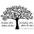 Wall decals with quotes - Wall decal Le plaisir et le bonheur decoration quote - ambiance-sticker.com