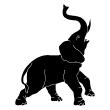 Animals wall decals - Elephant trumpeting Wall decal - ambiance-sticker.com