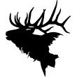 Animals wall decals - Grand deer bellowing Wall decal - ambiance-sticker.com