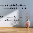 Animals wall decals - Birds on cables Wall decal - ambiance-sticker.com