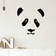 Animals wall decals - Shy panda Wall decal - ambiance-sticker.com
