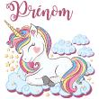 Wall decals Names - Wall decal unicorn in the clouds customizable names - ambiance-sticker.com