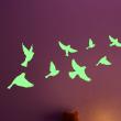 Glow in the dark   wall decals - Wall decal birds - ambiance-sticker.com