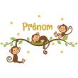 Wall sticker Names - Wall sticker 3 baby monkeys on a branch customizable names - ambiance-sticker.com
