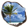 Wall decals landscape - Wall decal Palm and sky in the hole - ambiance-sticker.com