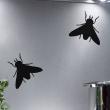 Animals wall decals - Figure insect Wall decal - ambiance-sticker.com
